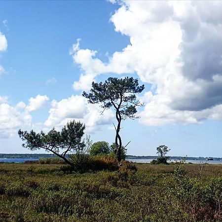 Appartement Neuf En Hypercente Biscarrosse Eksteriør bilde
